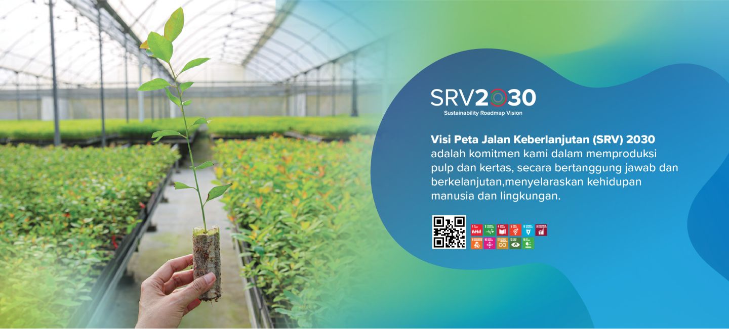 pefc sertifikat